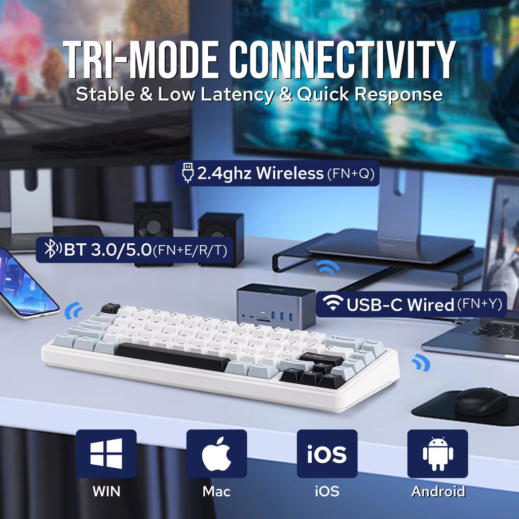 EPOMAKER X  F65 65% Layout Hot-Swap Gasket-Mounted Wired/Bluetooth/2.4G Wireless Mechanical Keyboard for Mac/Win